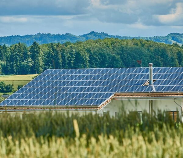 Panneaux solaires sur une toiture complète avec cheminée en campagne et forêt, par Alpha Solaire, installateur RGE panneaux solaires Drôme.