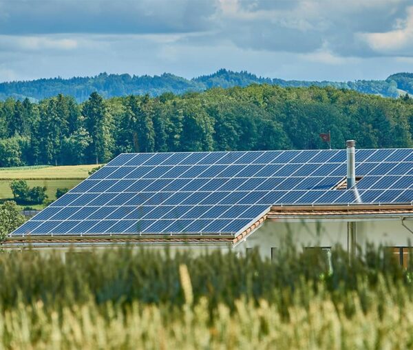 Installation panneau solaire entrepris e pour un bâtiment agricole avec cheminée, toiture recouverte champ de blé.