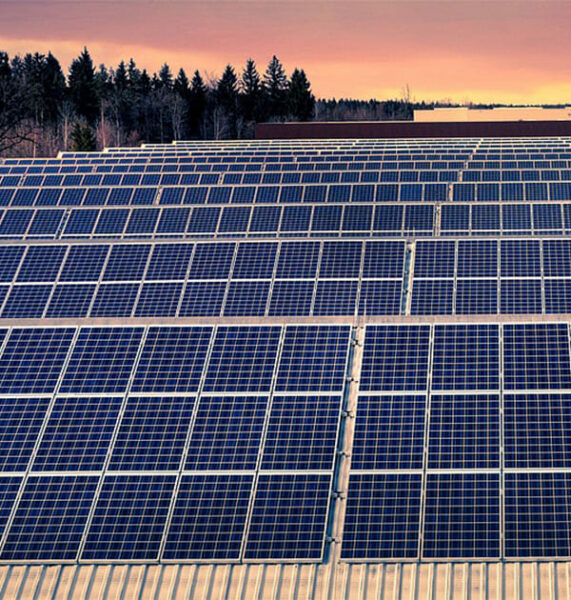 Installation panneau solaire entreprise avec forêt en arrière plan.